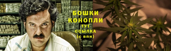 дмт Нягань
