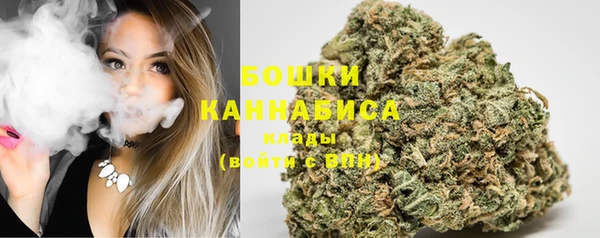 дмт Нягань