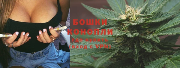 дмт Нягань